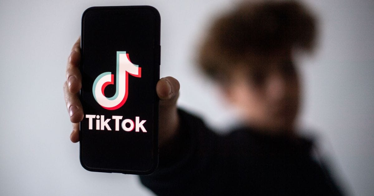 francesco gelfo tik tok
