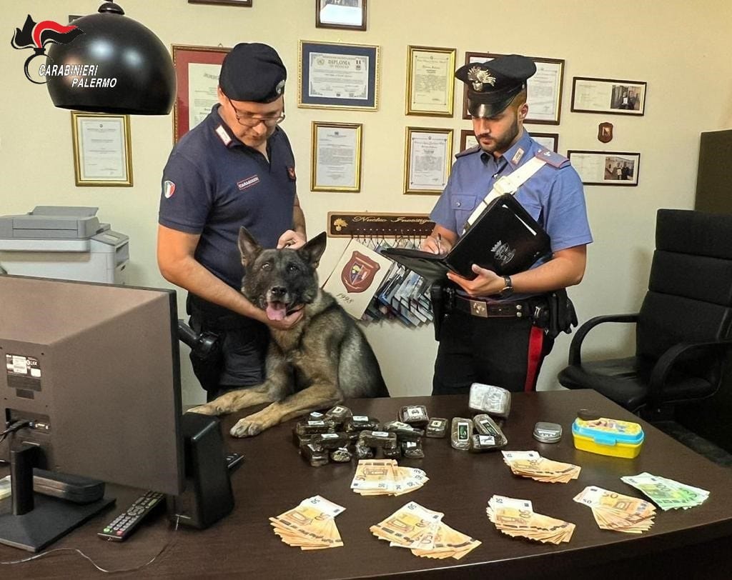 cane droga ballarò