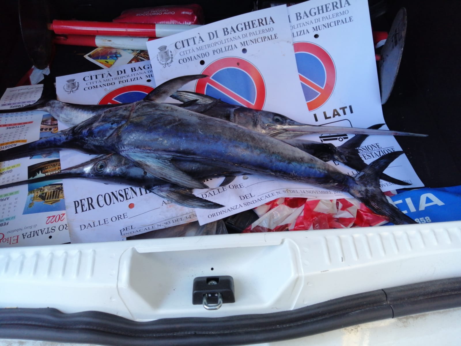 spadotti bagheria