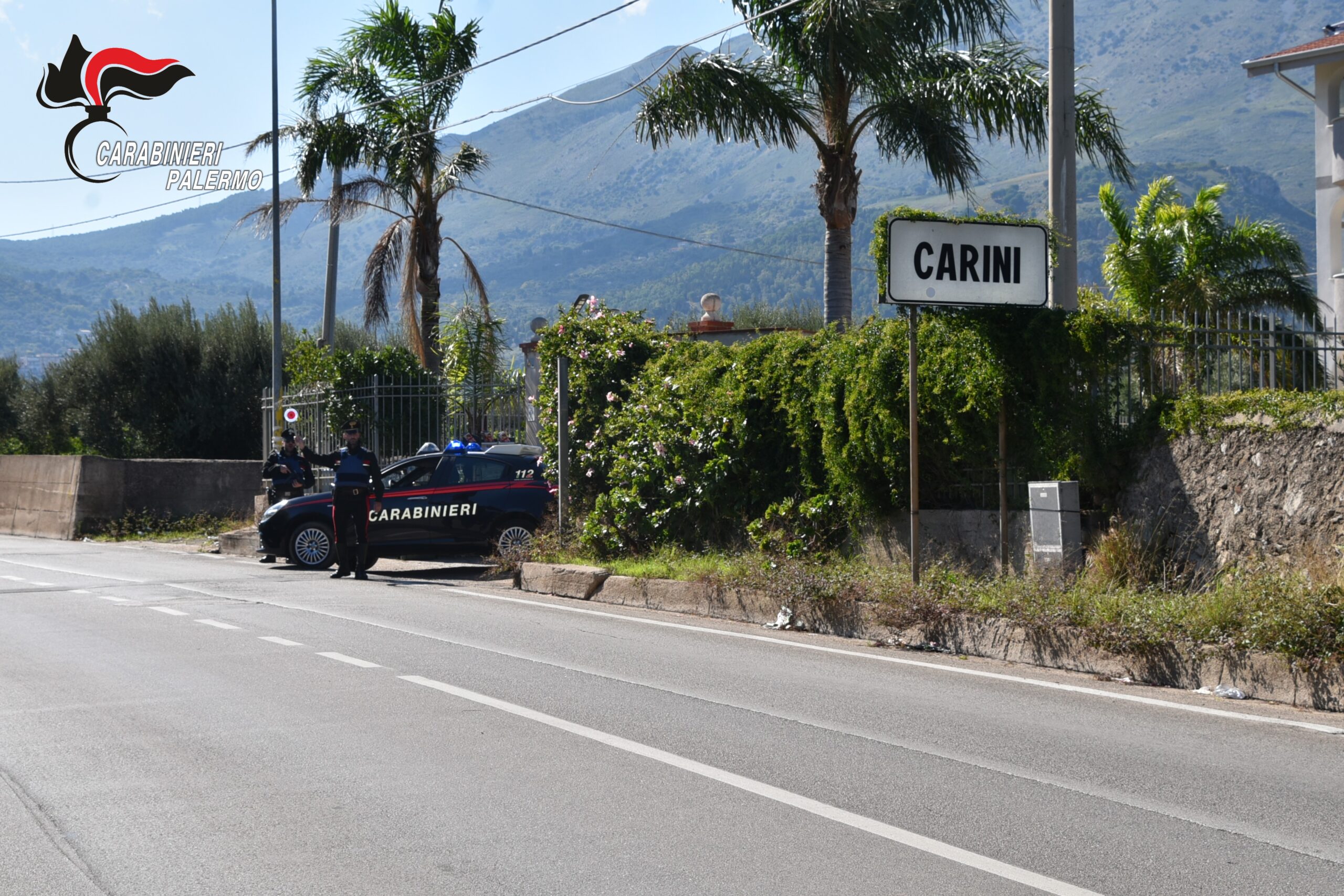 arresto carini