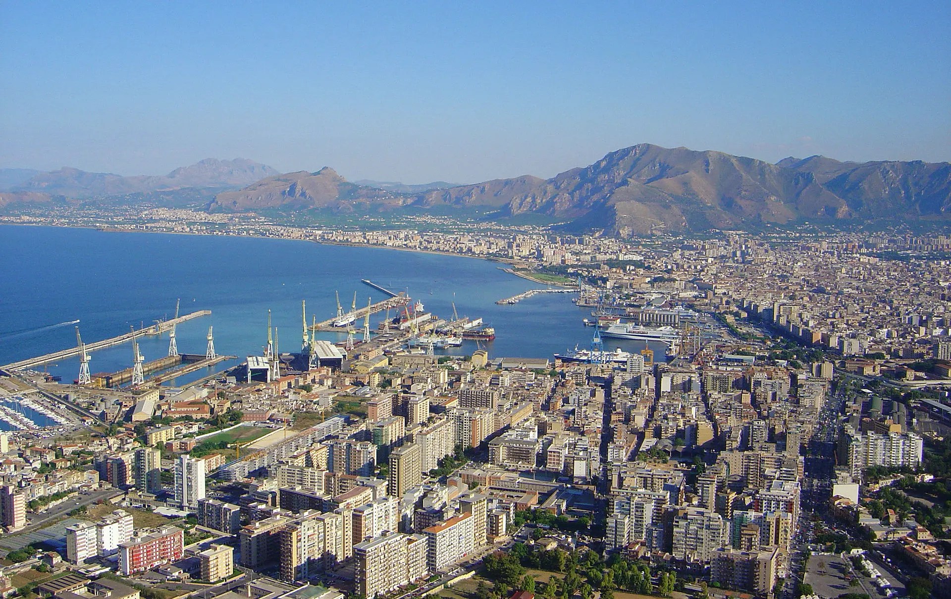 riforestazione poseidonia golfo di Palermo