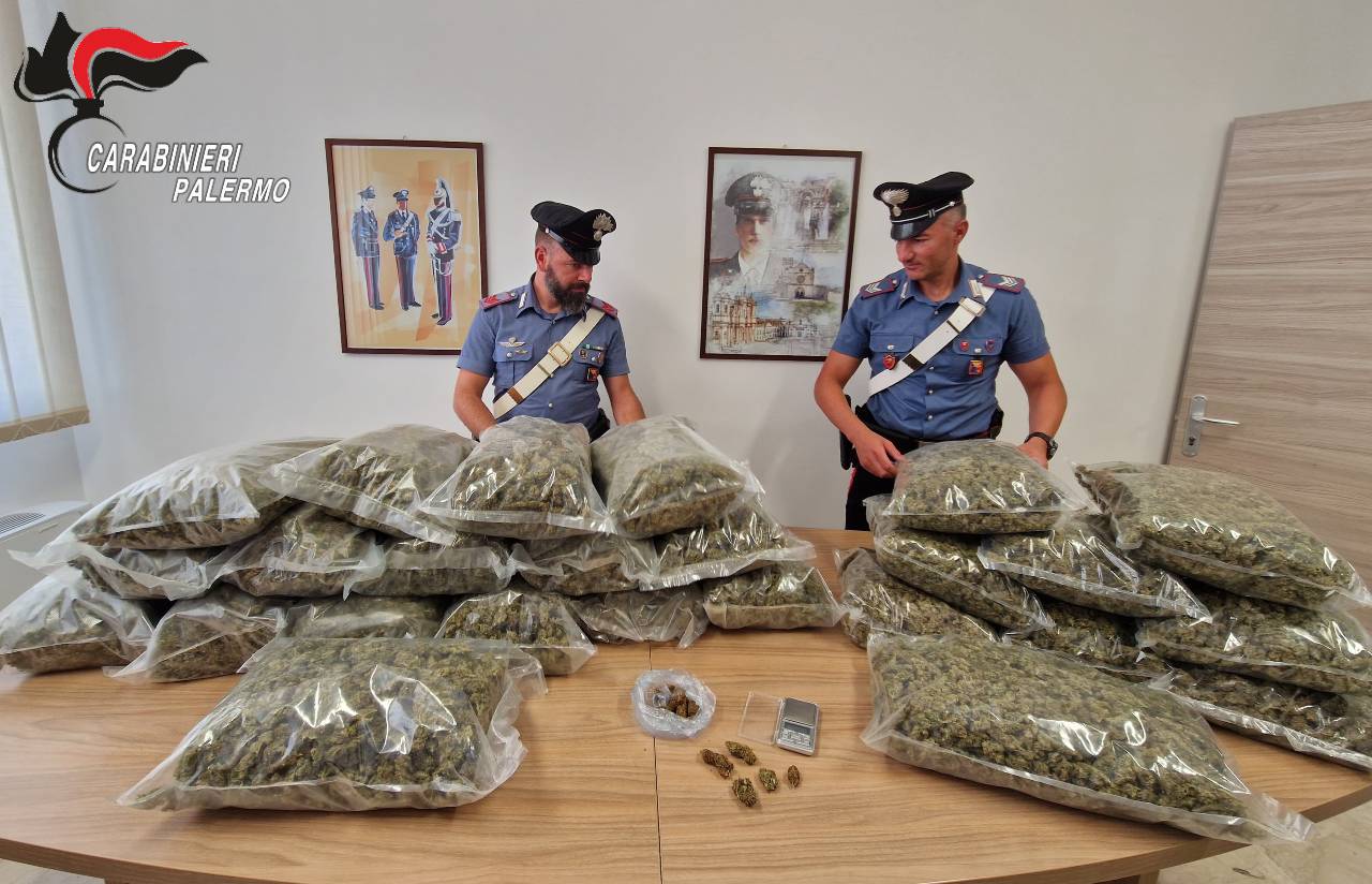 droga partinico cannabis