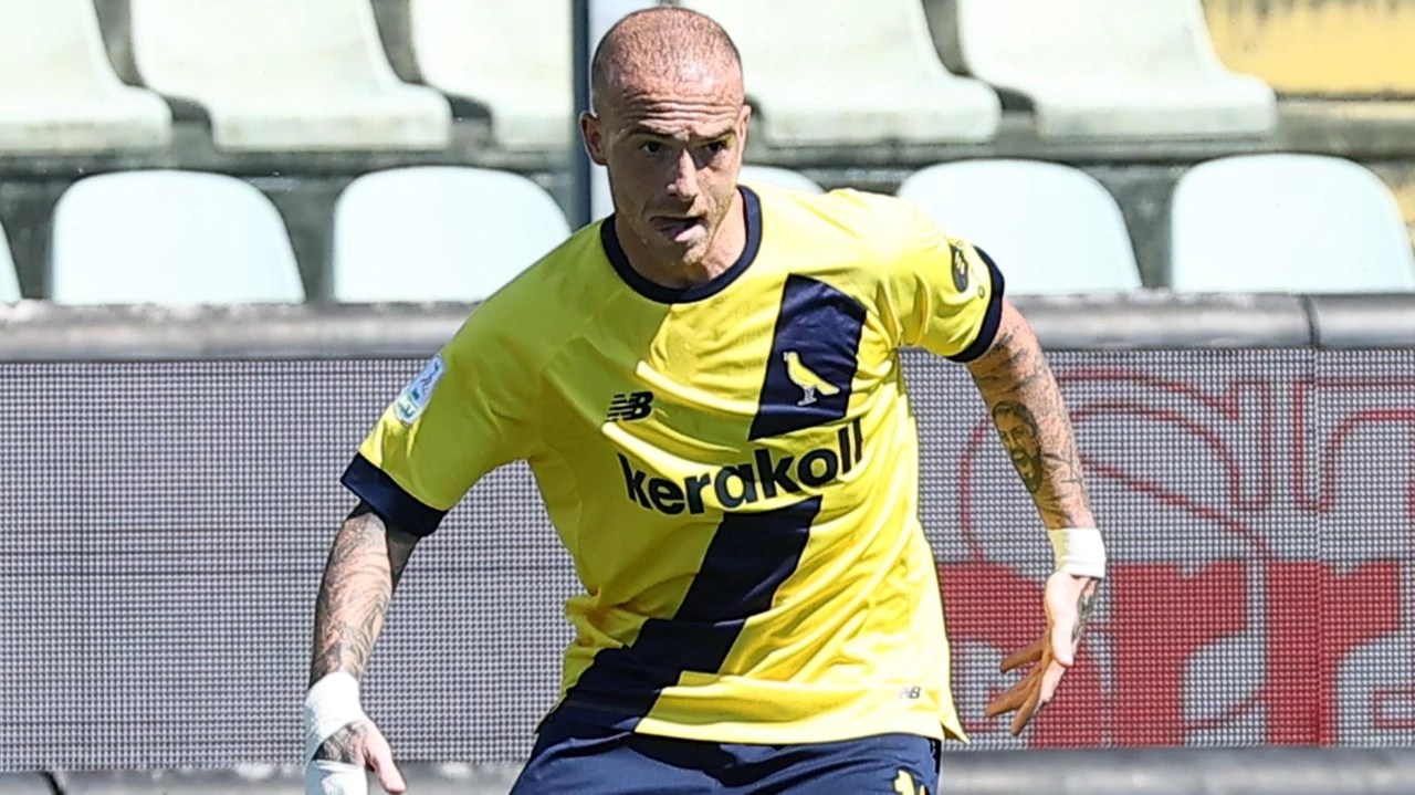 antonio palumbo