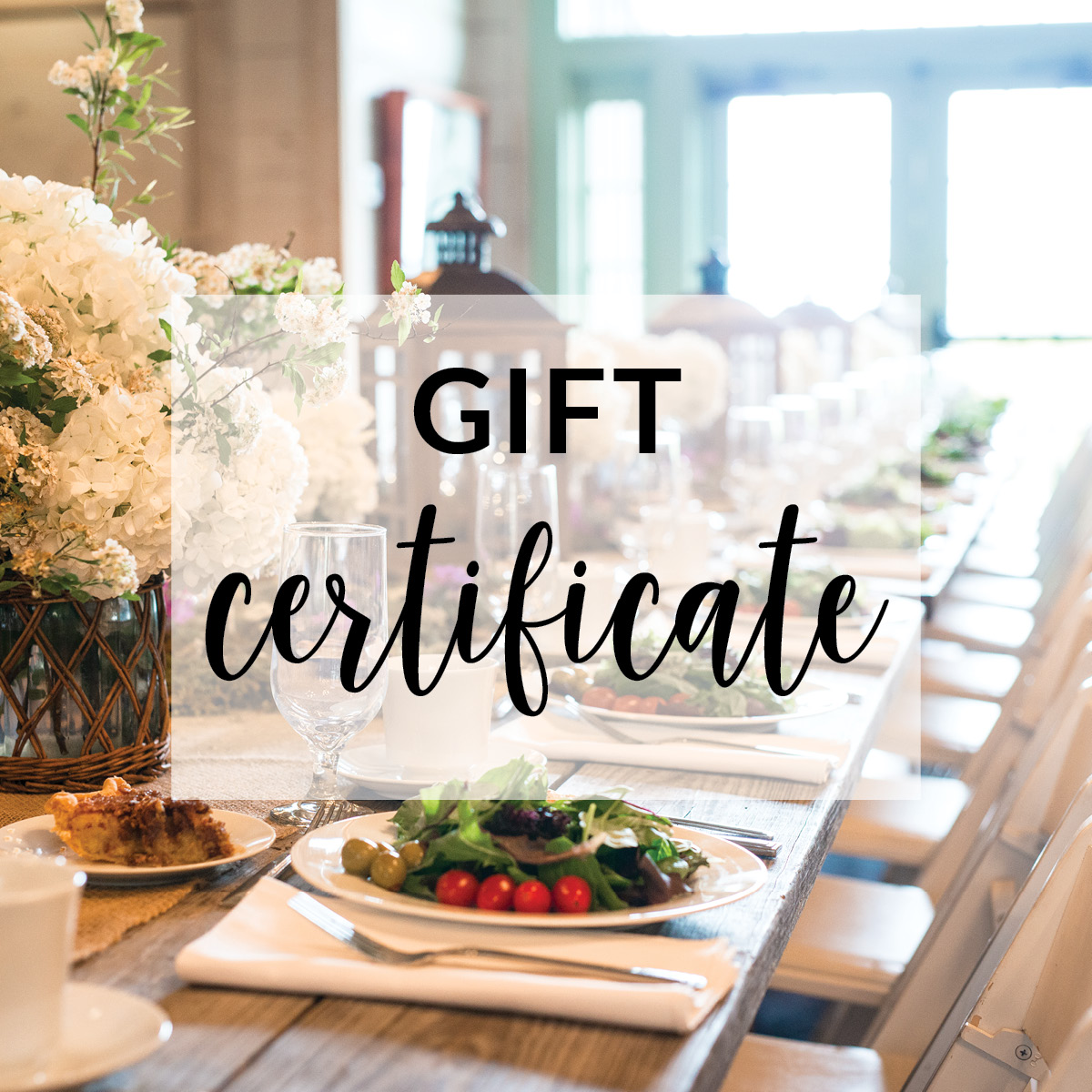 RIVAGES D'IRLANDE ET DE BRETAGNE 【保証書有】 Gift Certificate for Guided Tour with Lunch - P. Allen Smith