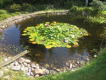 Einbauten Umbauarbeiten In Mietwohnung Erlaubnis Vom Vermieter