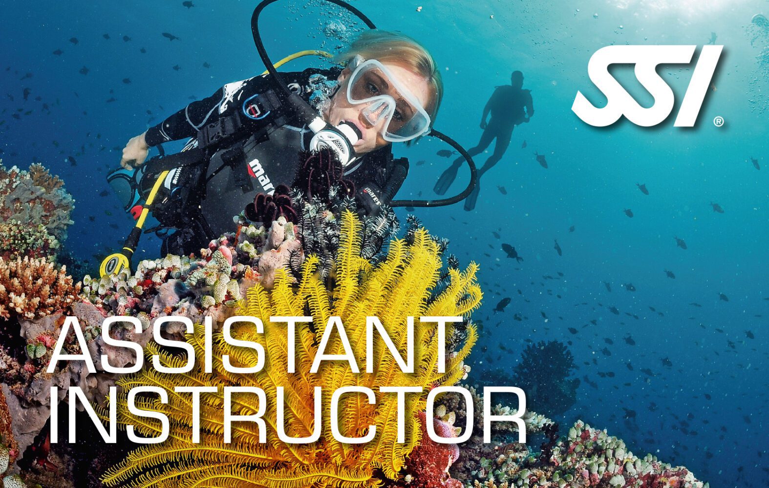 SSI - Scuba Schools International