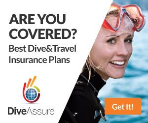 Dive Assure