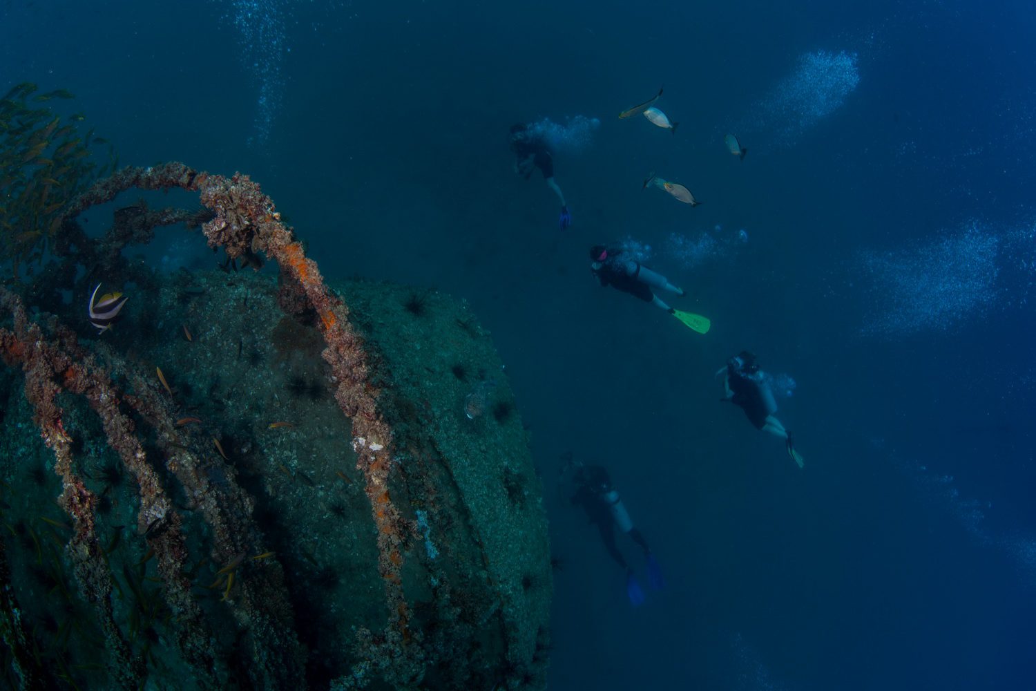 Wreck Diving