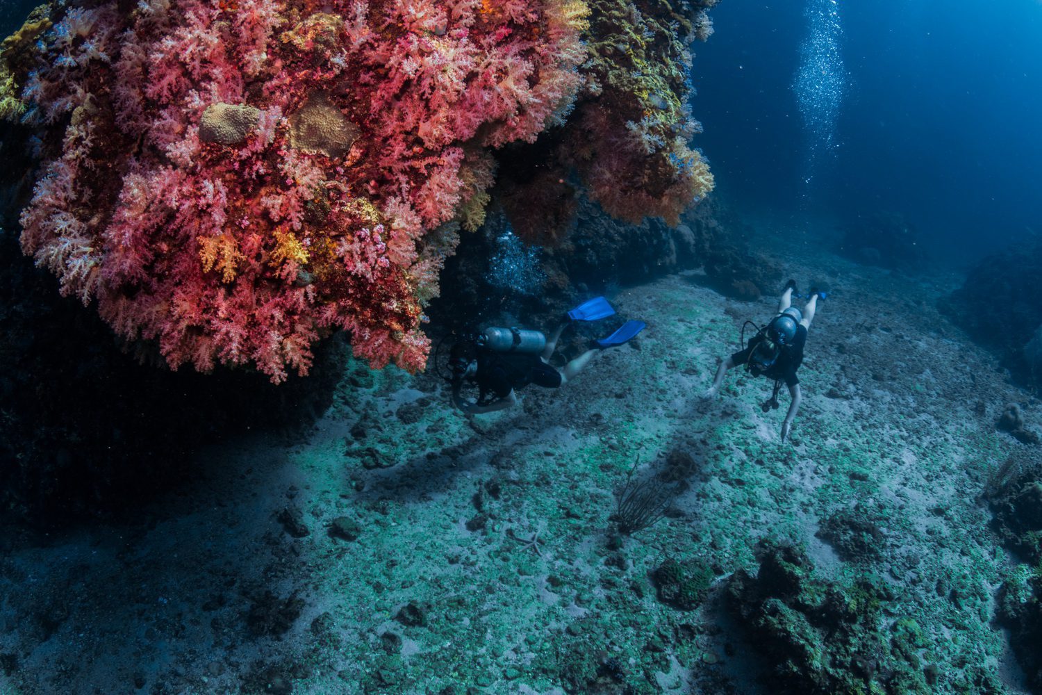 SSI Open Water Diver - Макс опыт - OWDC + 2 специальности