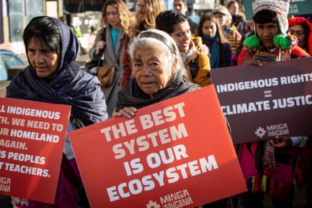 Oil palm in Latin America: monoculture and violence