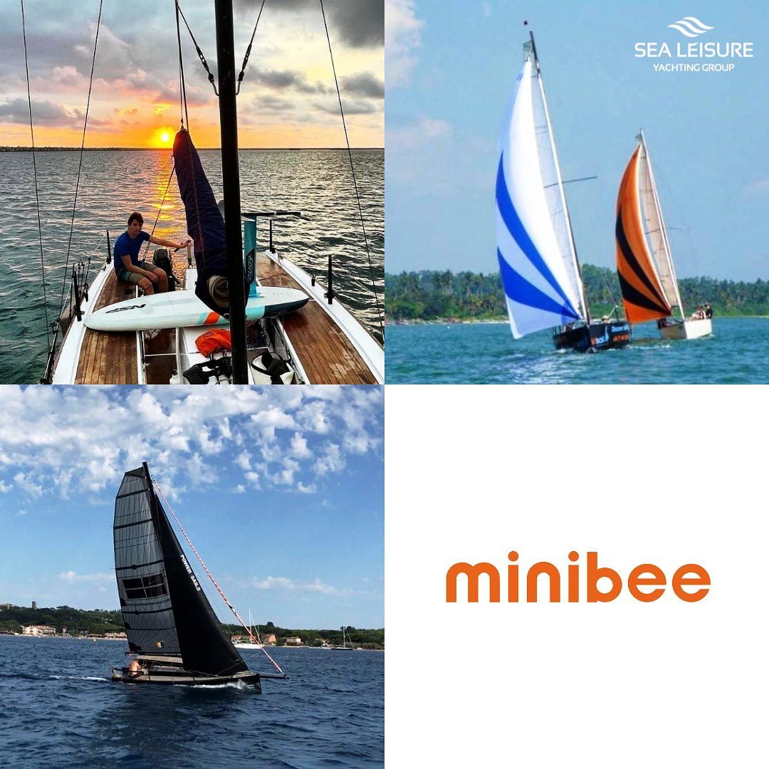 minibee