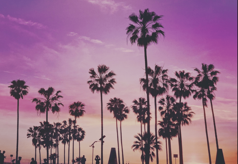 palm springs travel why canadians