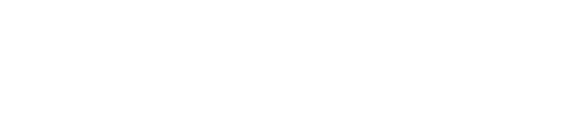 Performing Artist