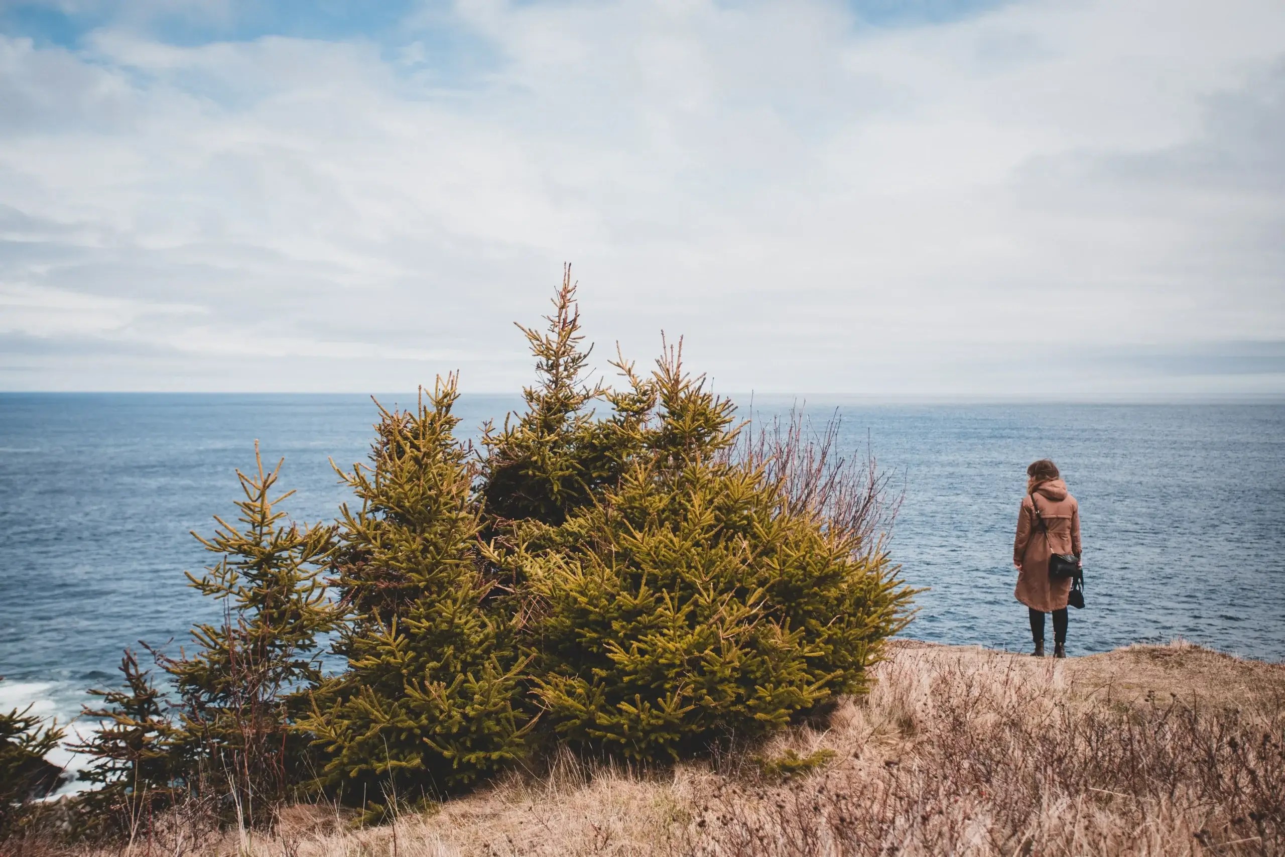 Person standing alone by the ocean, reflecting on emotional distance and their own nervous system