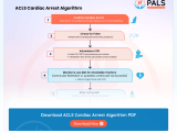Acls Cardiac Arrest Algorithm