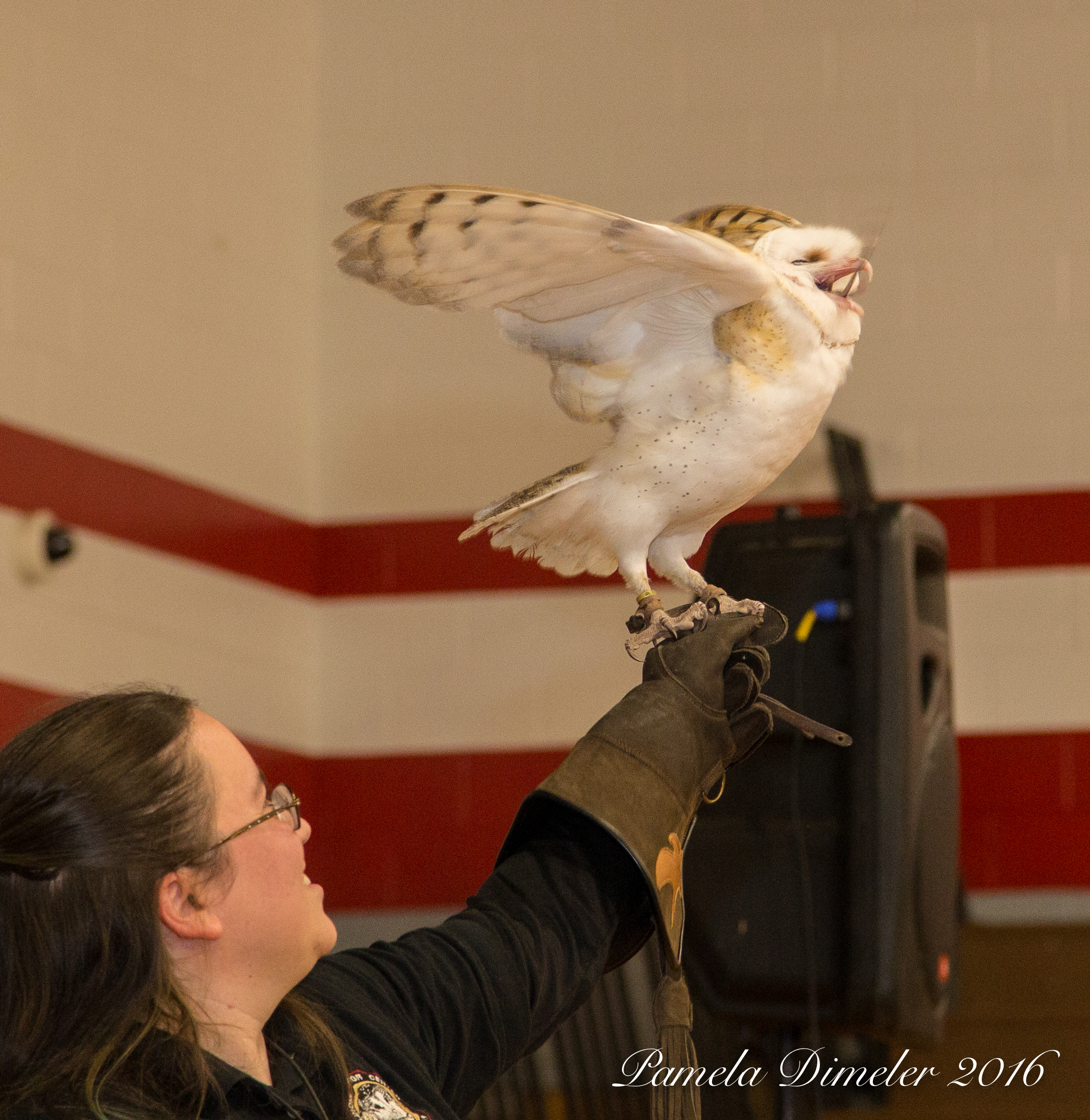 IMG_8276_Computer_FullSize