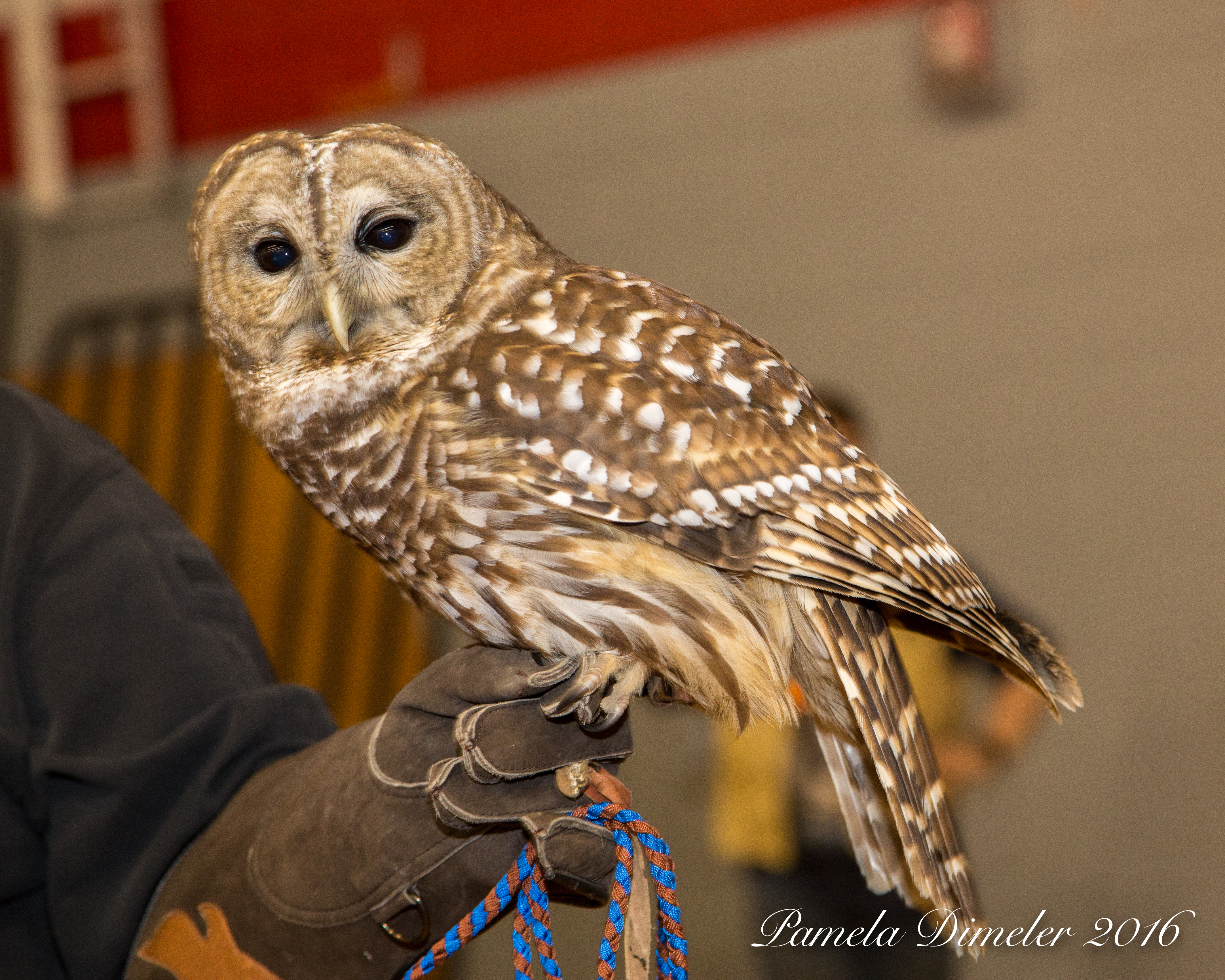 IMG_8294_Computer_FullSize