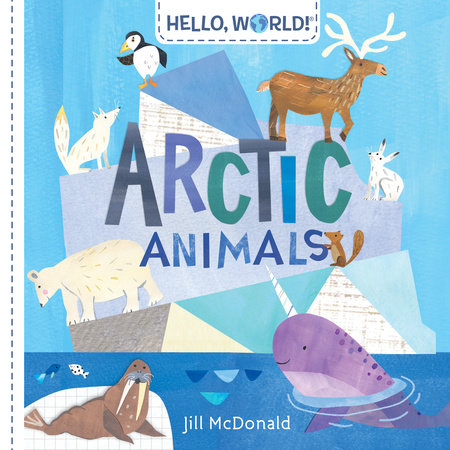 arctic animals