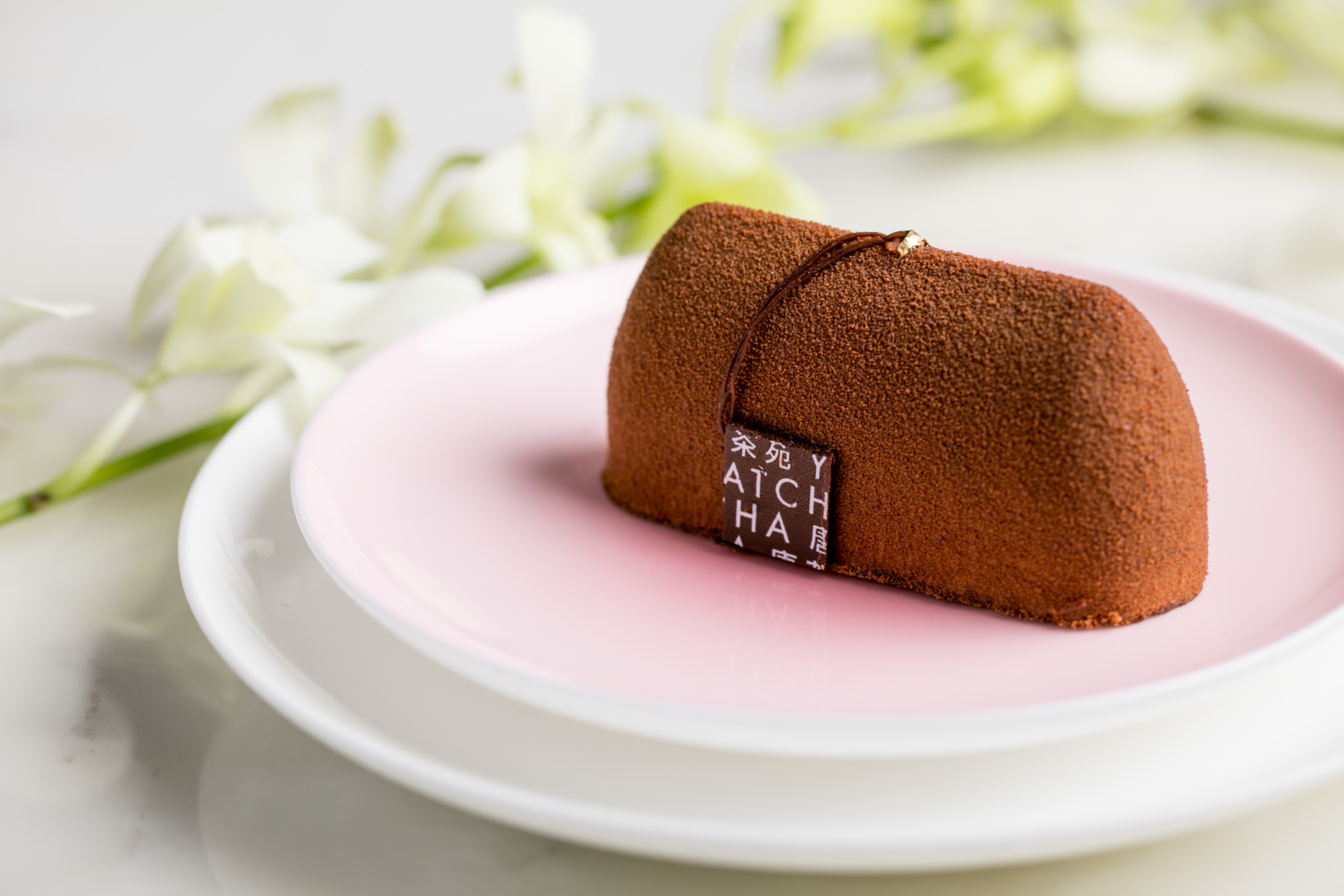 Chocolate hazelnut mousse