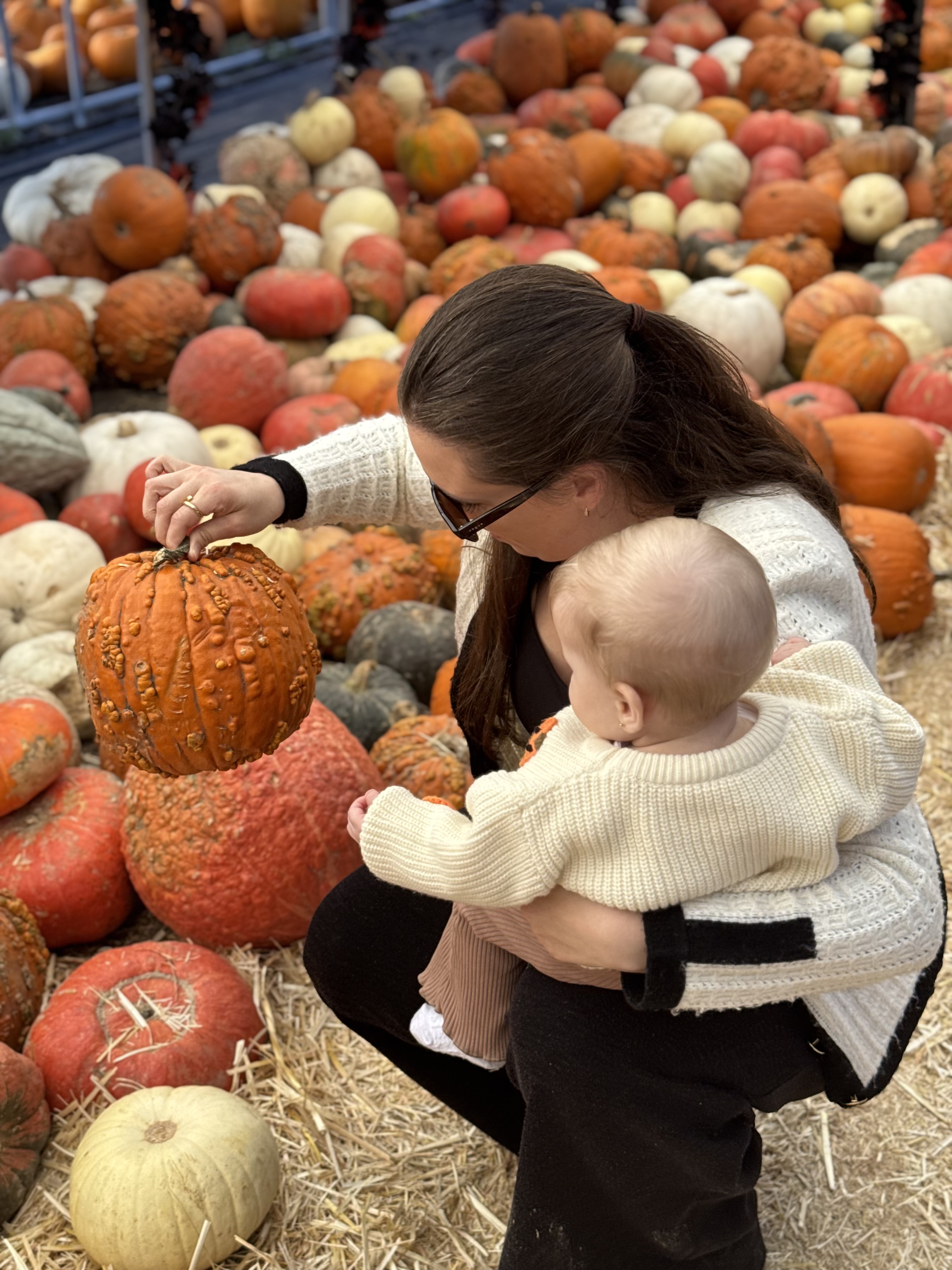 Pumpkin Patch em Utah: Os melhores