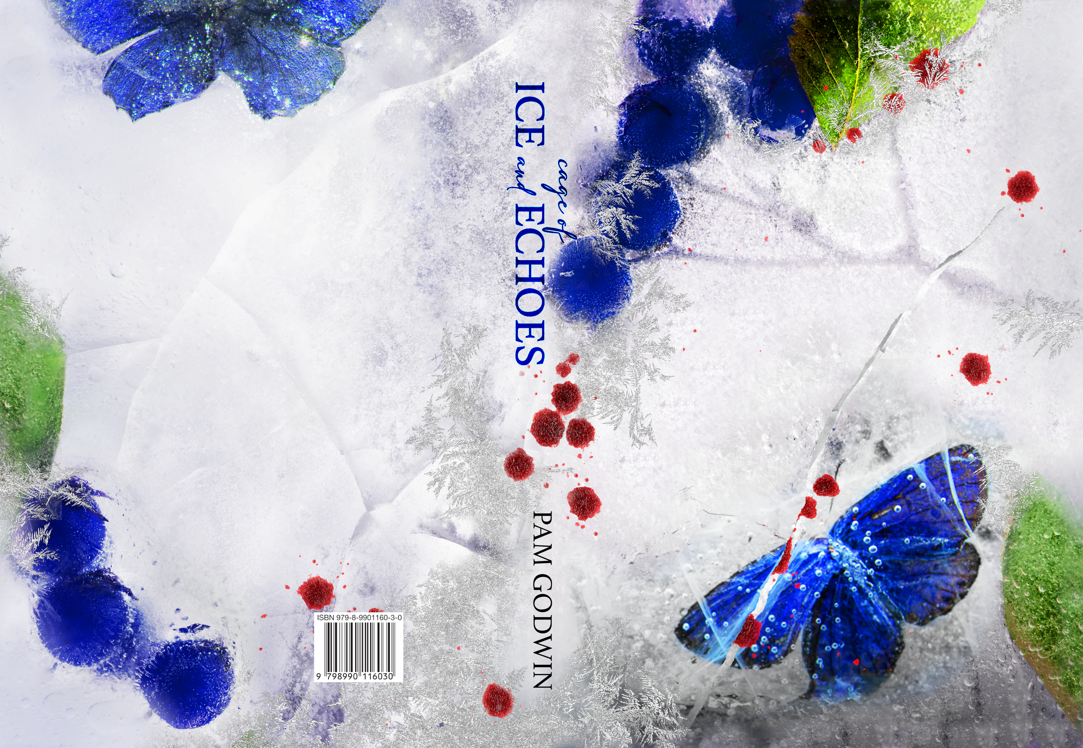 Cage of Ice and Echoes – Pam Godwin
