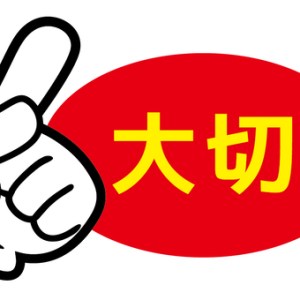 Kosakata Mirip Artinya, Bedanya Apa 大切 (Taisetsu), 大事 (Daiji), 重要 (Juuyou)?