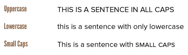 Terminology Typography Visual Pandaqi Tutorials - Best City Images in 4K