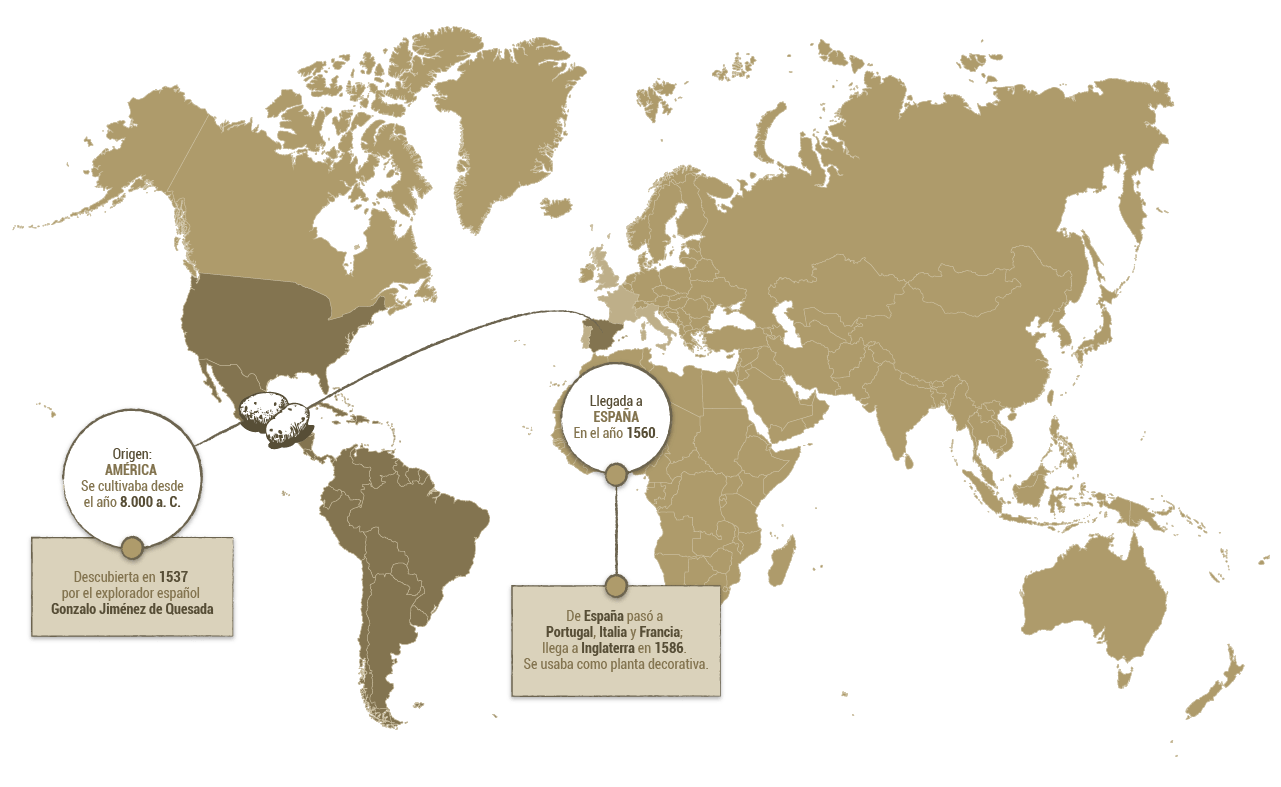 mapa del comercio de patata