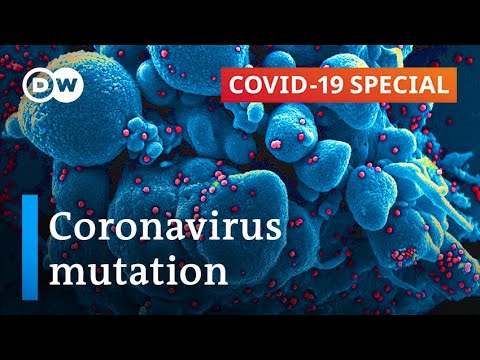 Coronavirus gene mutation: How scared should we be? | Covid-19 Special