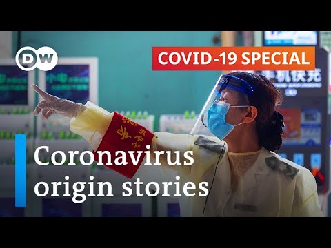 Where did the coronavirus come from? | COVID-19 Special