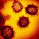 In troubling spike, L.A. County sees 3,000 new coronavirus cases in three days