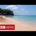 “Don’t book a summer holiday” says UK government – BBC News