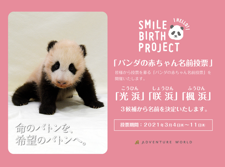 SMILE BIRTH PROJECT　〜命のバトンを、希望のバトンへ。〜 「パンダの赤ちゃん名前募集」３つの名前候補発表！！