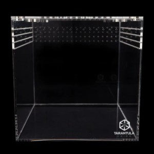 12" Tarantula Cube