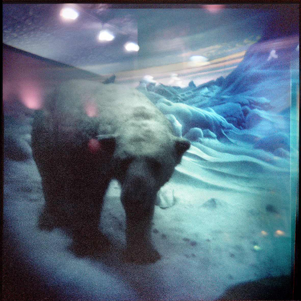 archival pigment print 17x17 inches