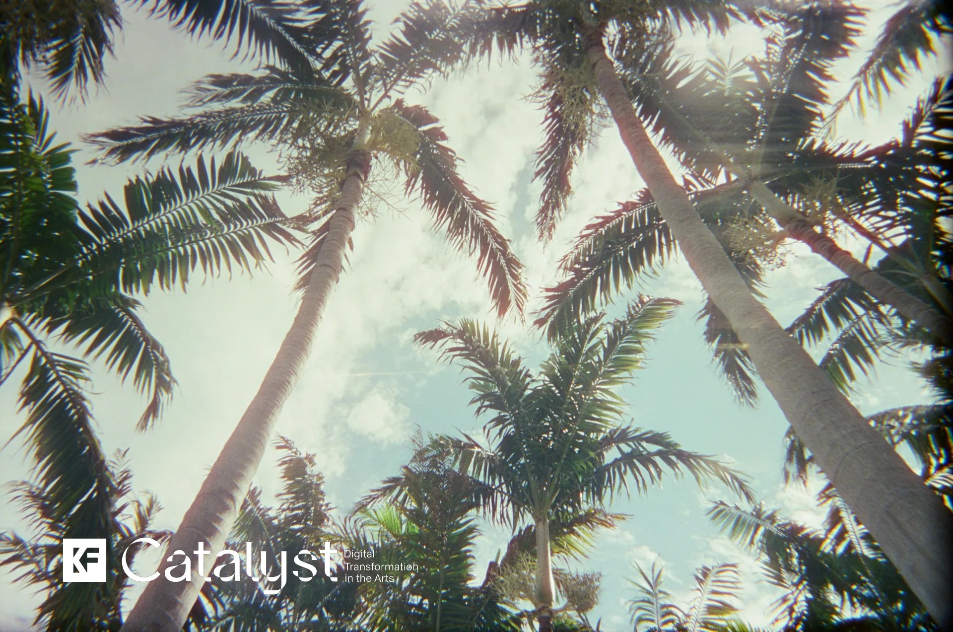 La Fundación Knight Explora la Evolución Digital en las Artes