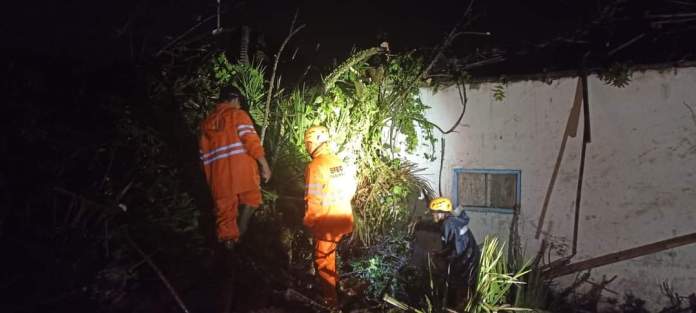Penangan pohon tumbang menimpa rumah warga di Desa Riang Gede, Penebel, Tabanan, Minggu (26/2/2023).