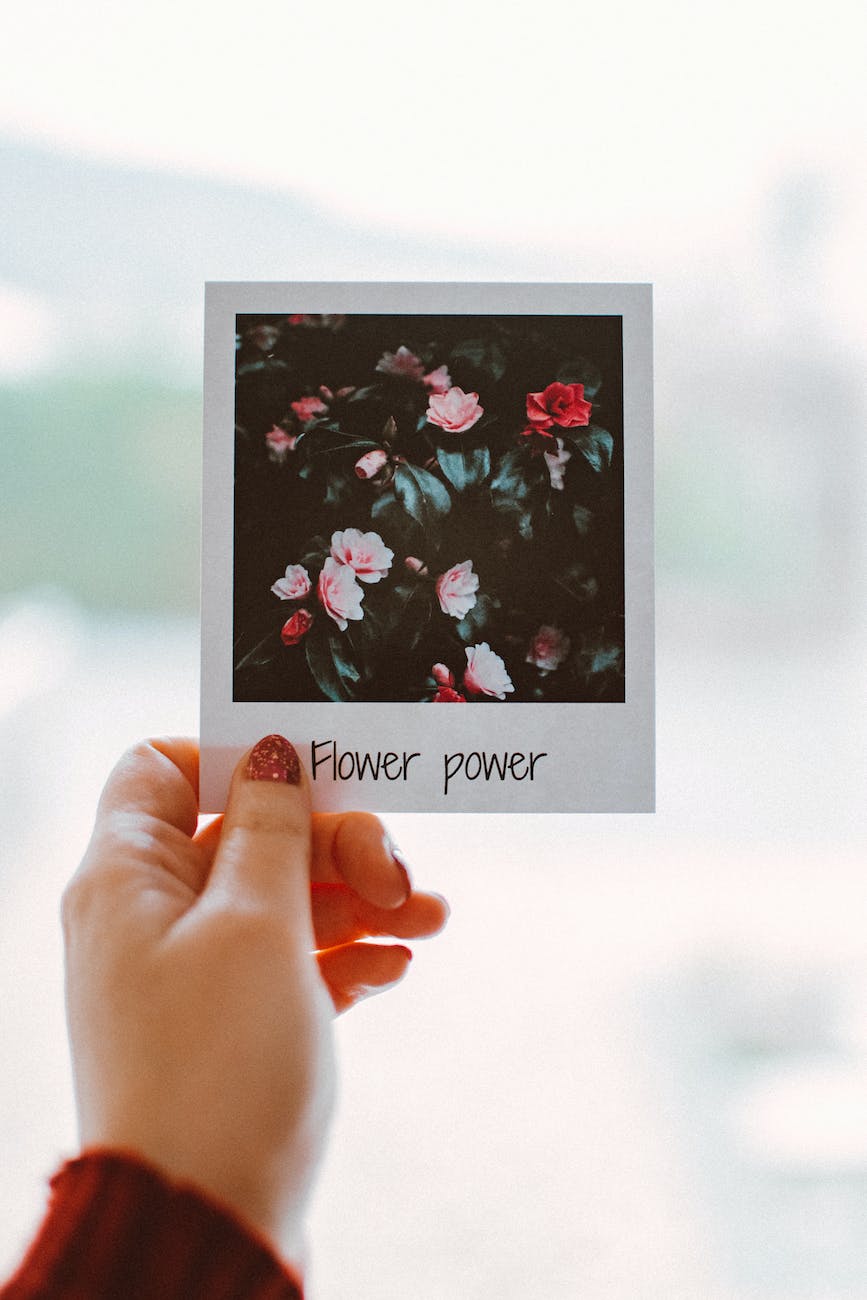person holding polaroid