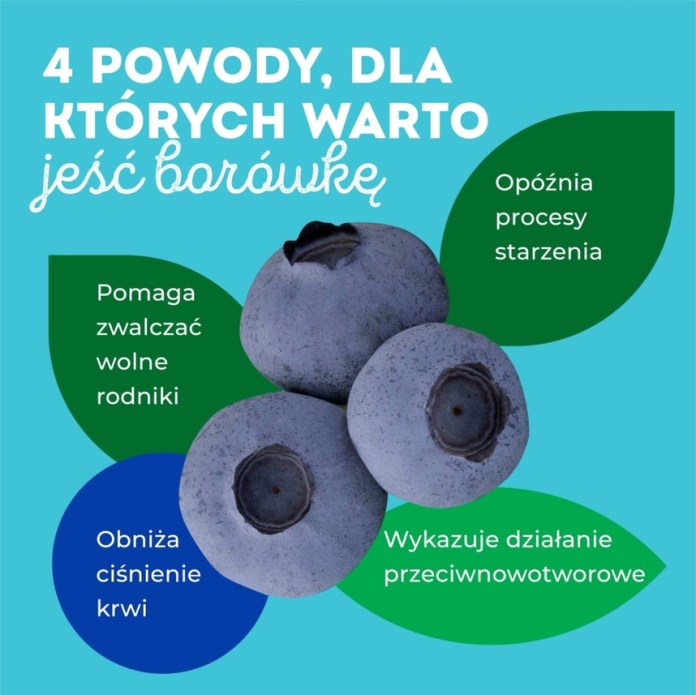 Krajowy Związek Grup Producentów Owoców i Warzyw