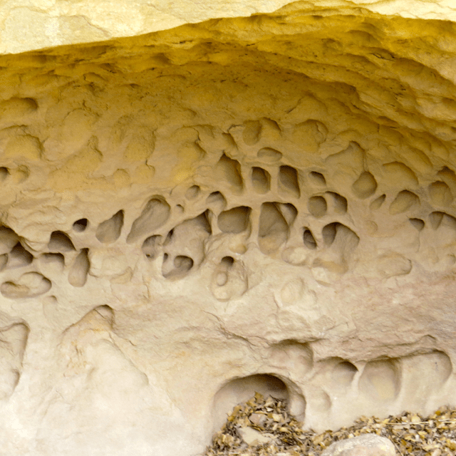 The wind does delicate sculptures in the sandstone.