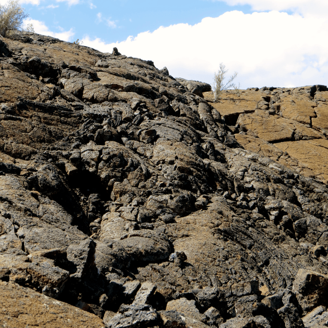This is a more recent bed of lava, not so many plants have gotton a hold here.
