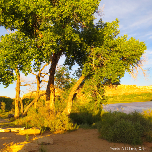 My campsite on the San Juan River
