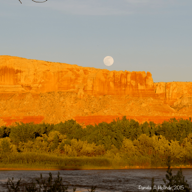 Full moon in the desert