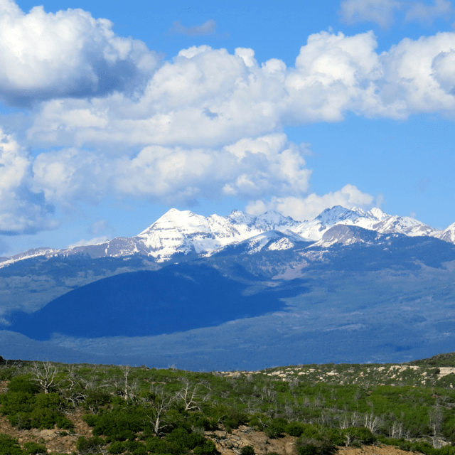 A view of the Rocky Mountains from the Mesa Top.