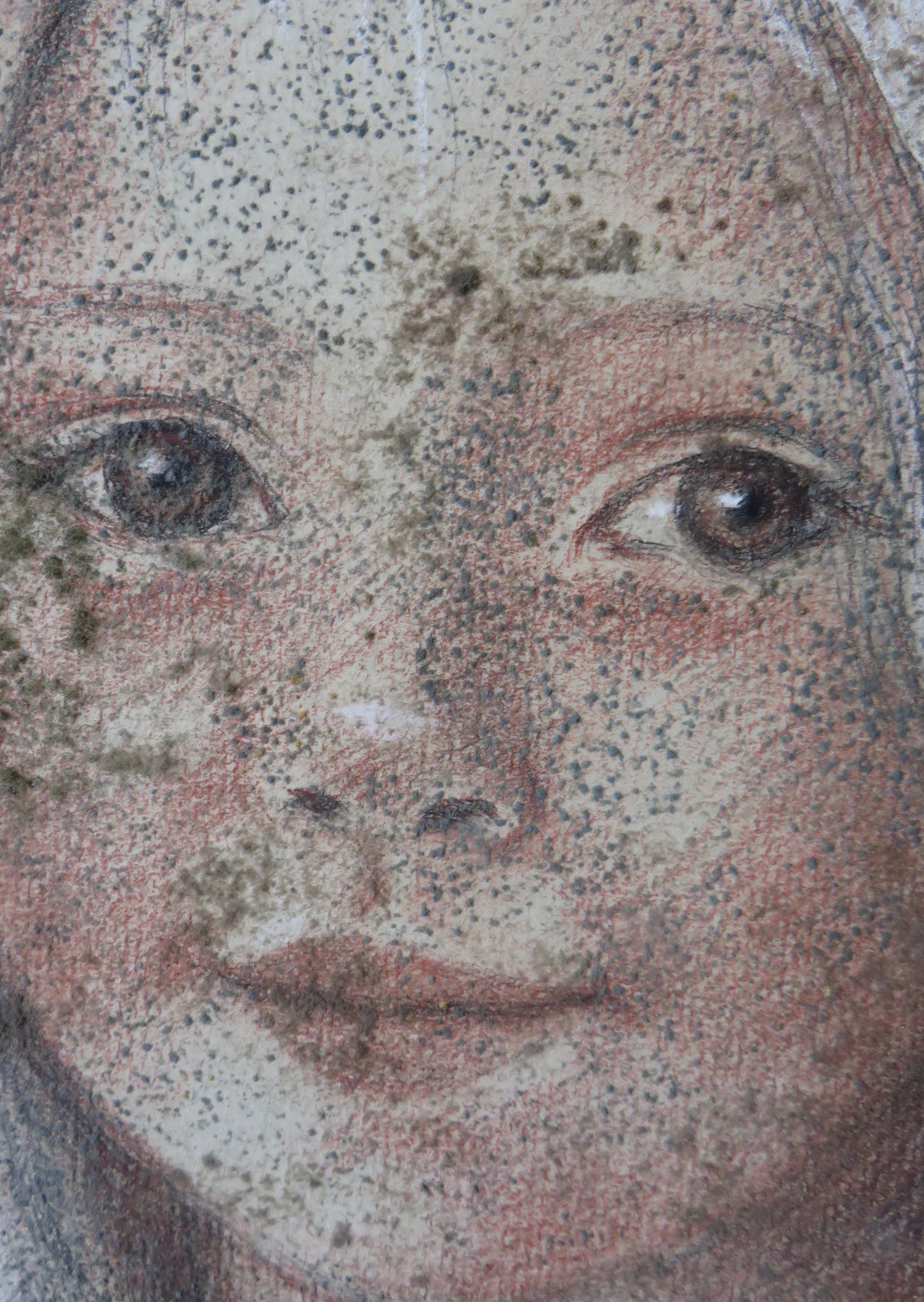 Mould on a charcoal.