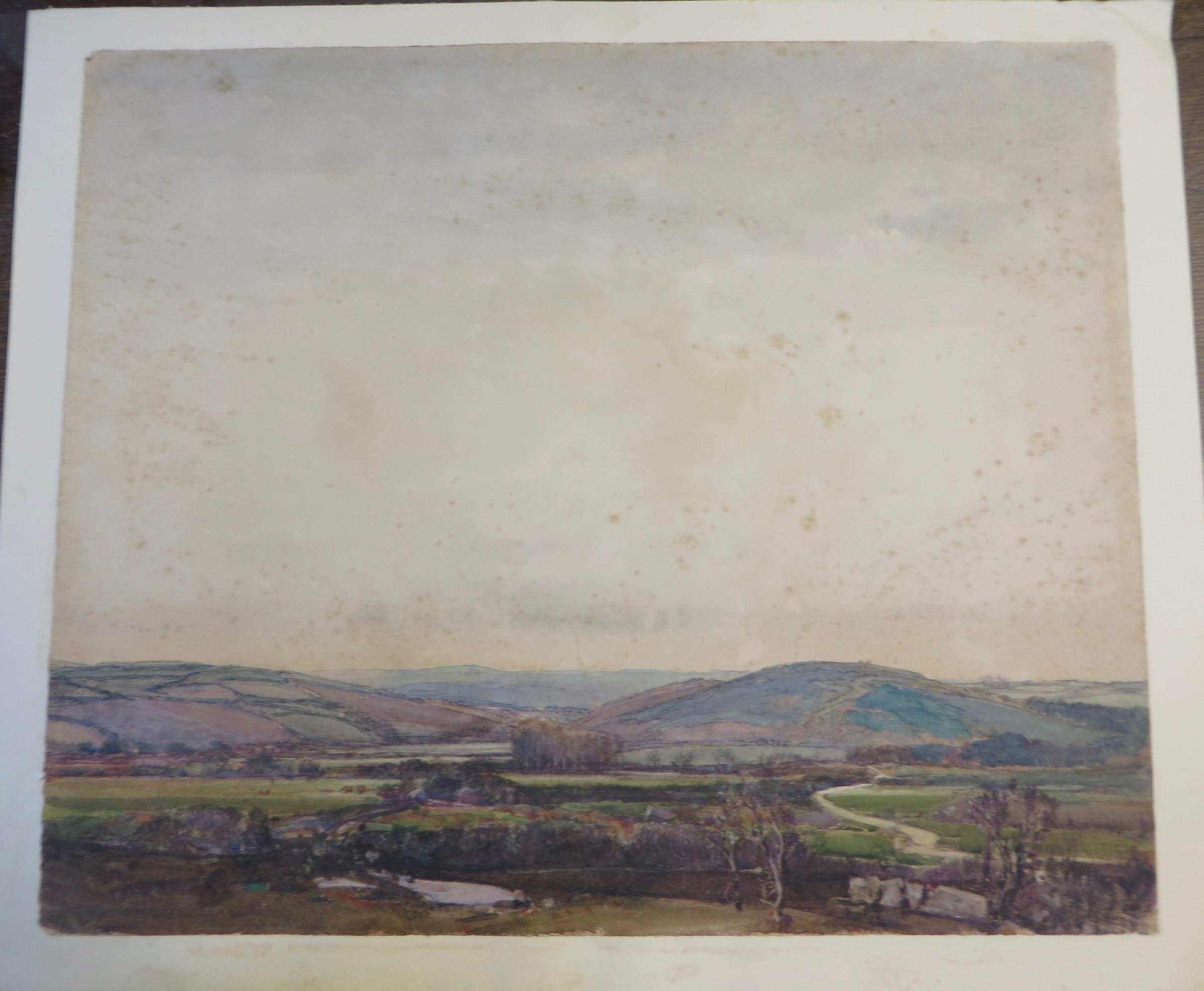 Foxing and discolouration