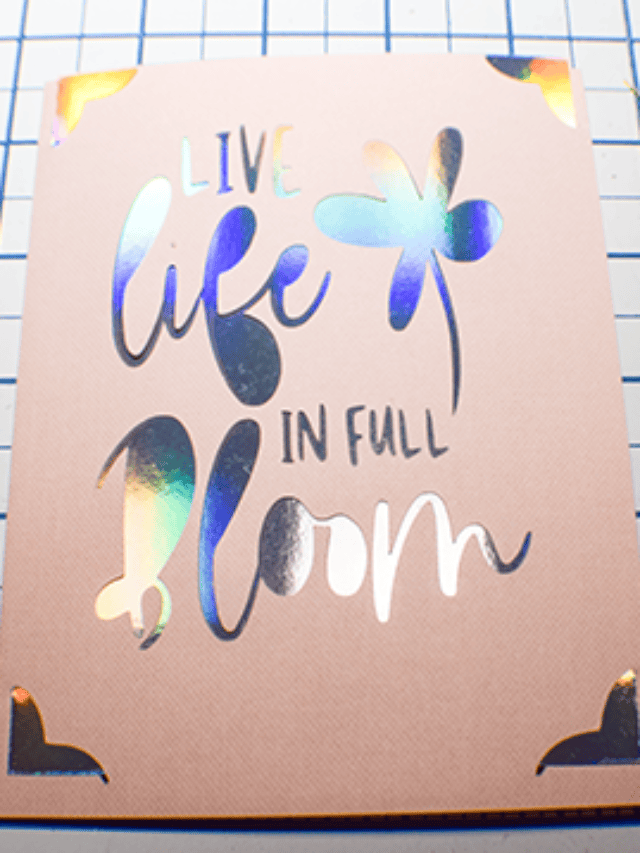 cropped-Add-the-insert-1.png
