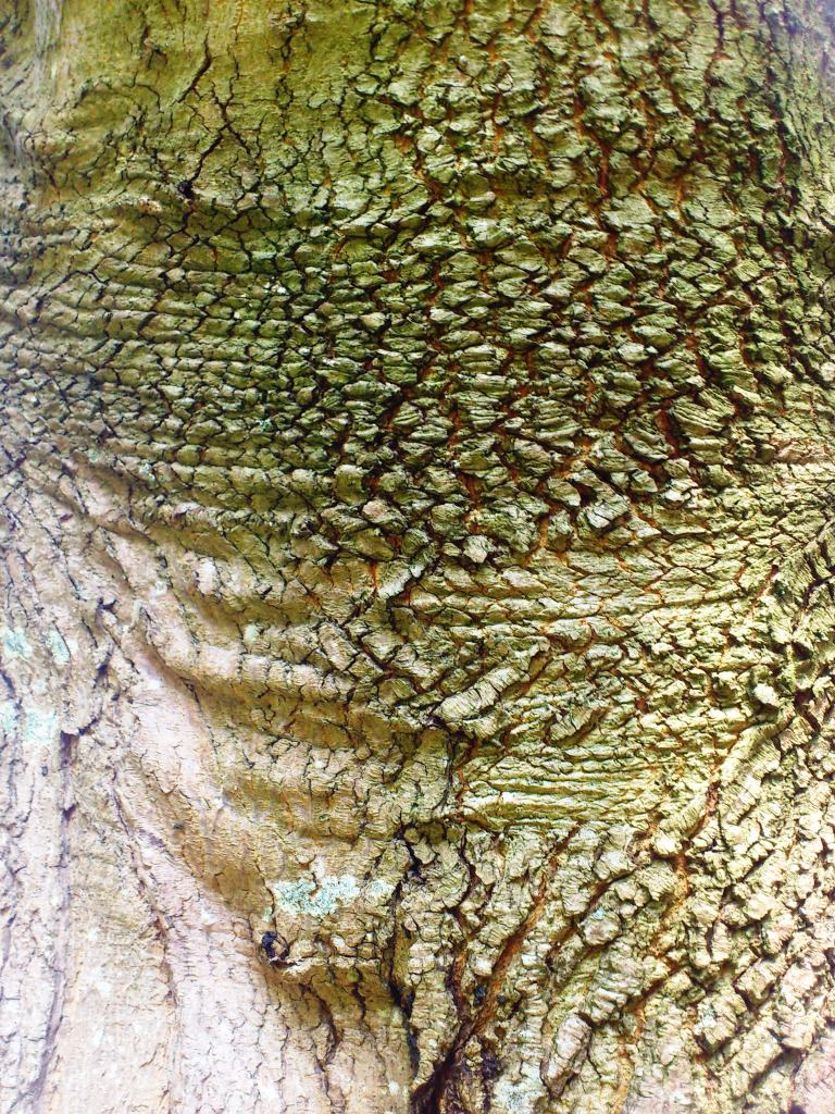b12