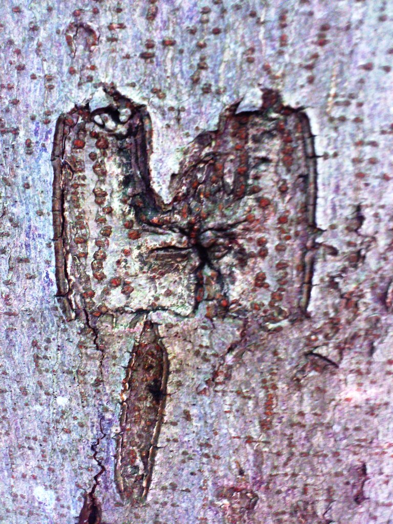 b13