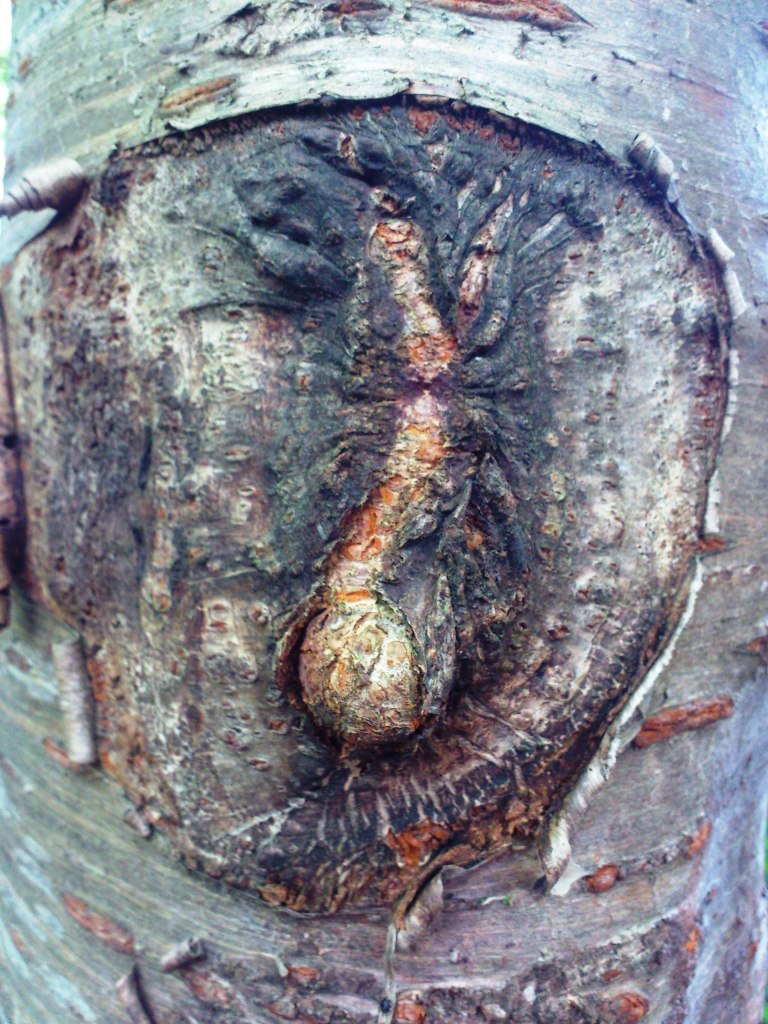 b8